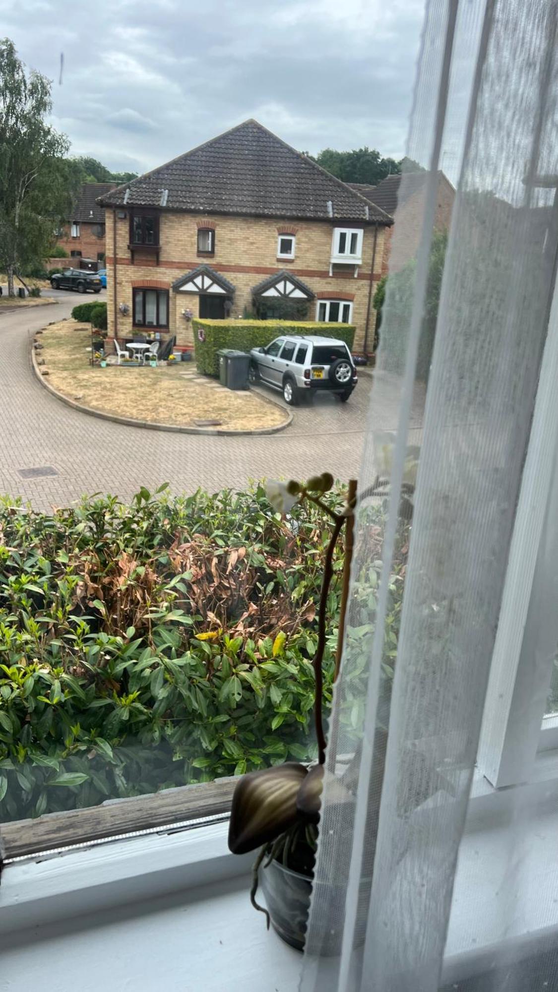 Beautiful Apartment In Guildford With Parking Send Esterno foto